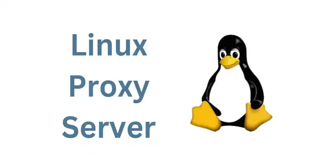 How To Choose The Perfect Linux Proxy Server For Your Needs 8 Powerful Tips